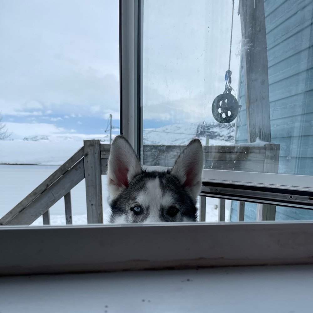 Meet your Posher, Lauren